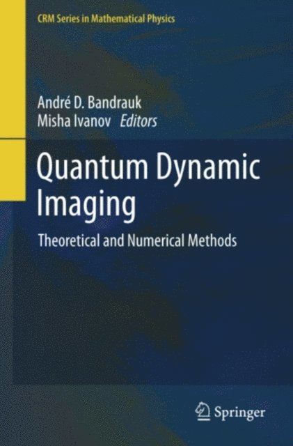 Misha Ivanov, Andre D Bandrauk - Quantum Dynamic Imaging, E-bok