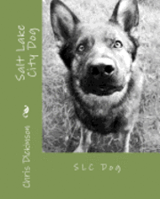 Chris Dickinson - Salt Lake City Dog: SLC Dog, Häftad. Tillgänglighet: Lägg i varukorg
