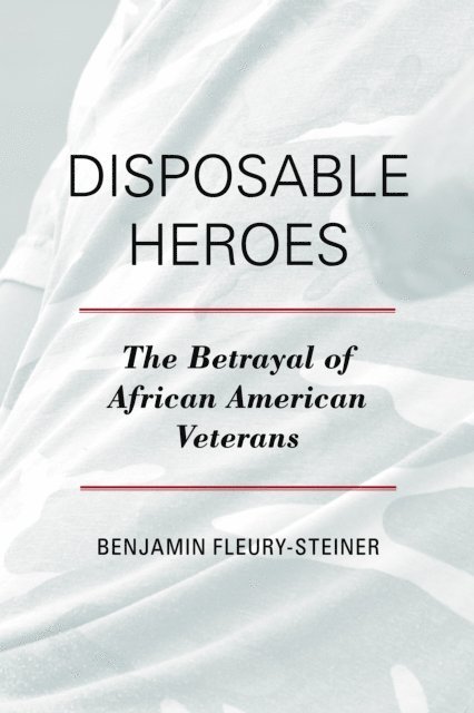 Benjamin Fleury-Steiner - Disposable Heroes, E-bok