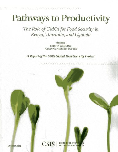Pathways to Productivity av Kristin Wedding, Johanna Nesseth Tuttle