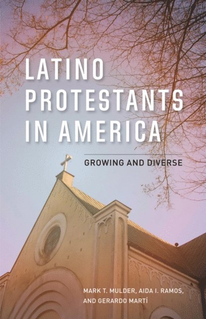 Mark T. Mulder, Aida I. Ramos, Gerardo Martí - Latino Protestants in America, E-bok