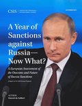 Year of Sanctions against Russia-Now What?
