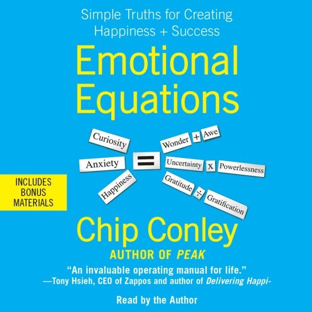Chip Conley - Emotional Equations, Ljudbok
