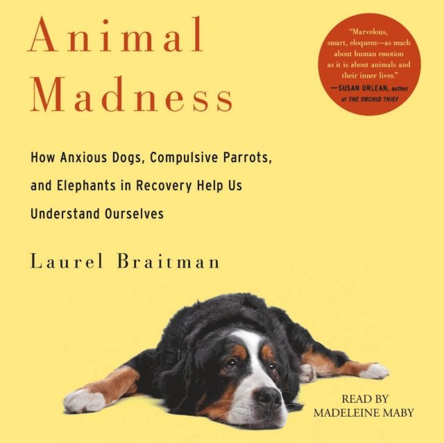Laurel Braitman - Animal Madness, Ljudbok