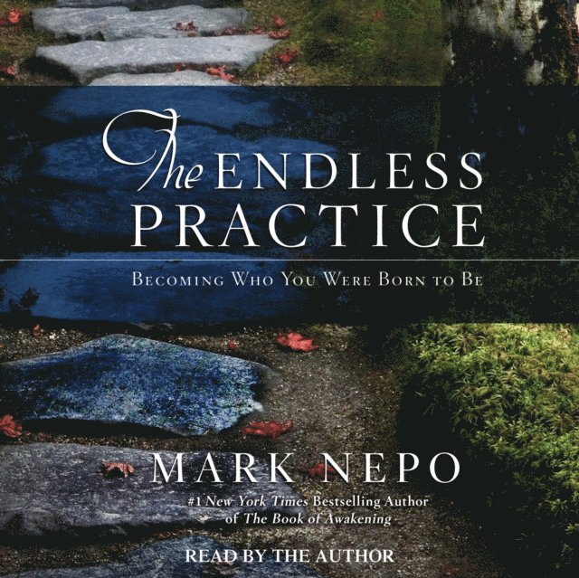 Mark Nepo - Endless Practice, Ljudbok