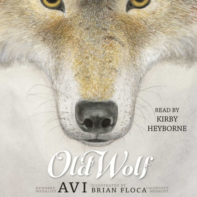 Avi - Old Wolf, Ljudbok