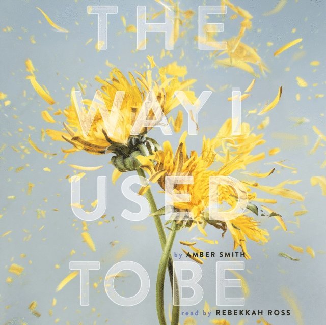 Amber Smith - Way I Used to Be, Ljudbok