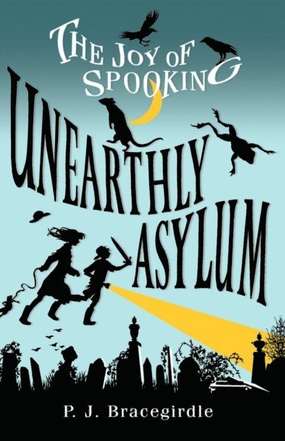 P.J. Bracegirdle - Unearthly Asylum, E-bok