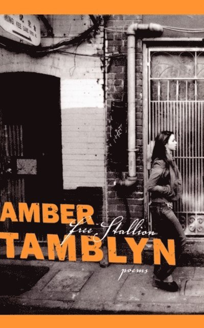 Amber Tamblyn - Free Stallion, E-bok