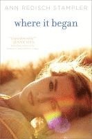 Ann Redisch Stampler - Where It Began, Häftad
