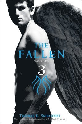 Thomas E. Sniegoski - The Fallen 3: End of Days, Häftad