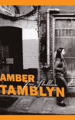 Amber Tamblyn - Free Stallion, Häftad