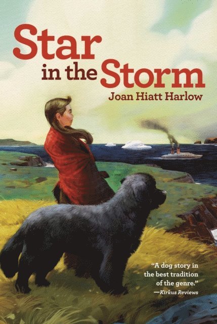 Joan Hiatt Harlow - Star in the Storm, E-bok