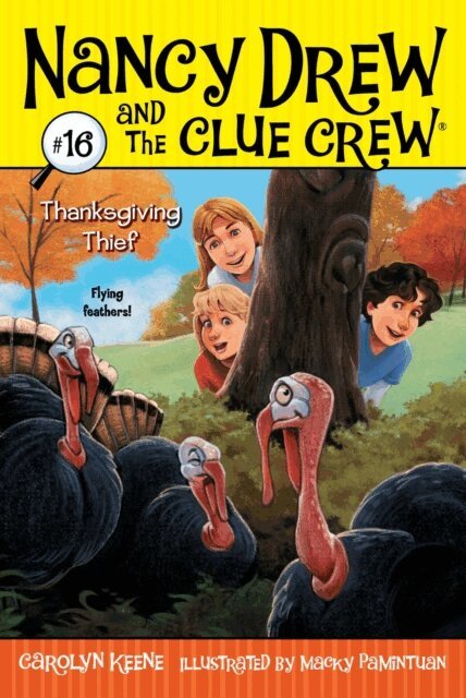 Carolyn Keene - Thanksgiving Thief, E-bok