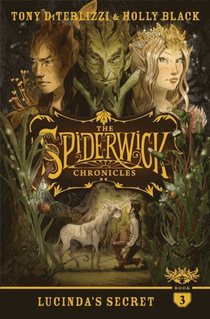Holly Black, Tony DiTerlizzi - Lucinda's Secret, E-bok