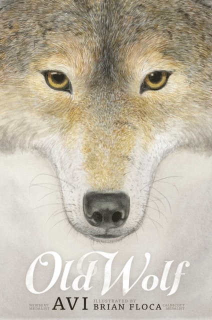 Avi - Old Wolf, E-bok