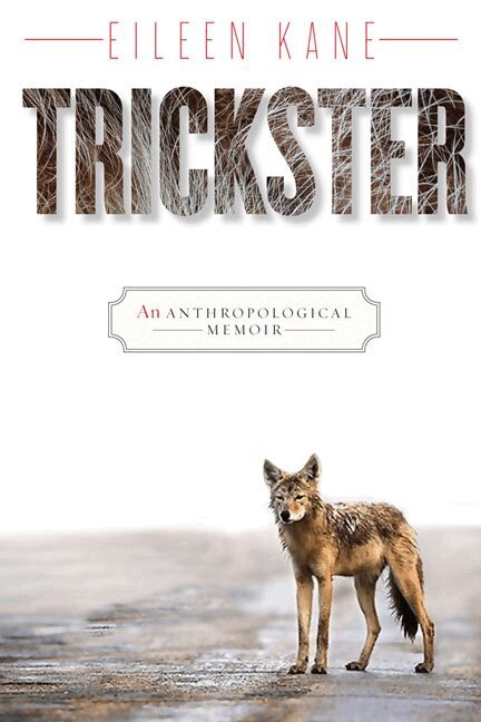 Eileen Kane - Trickster, Häftad
