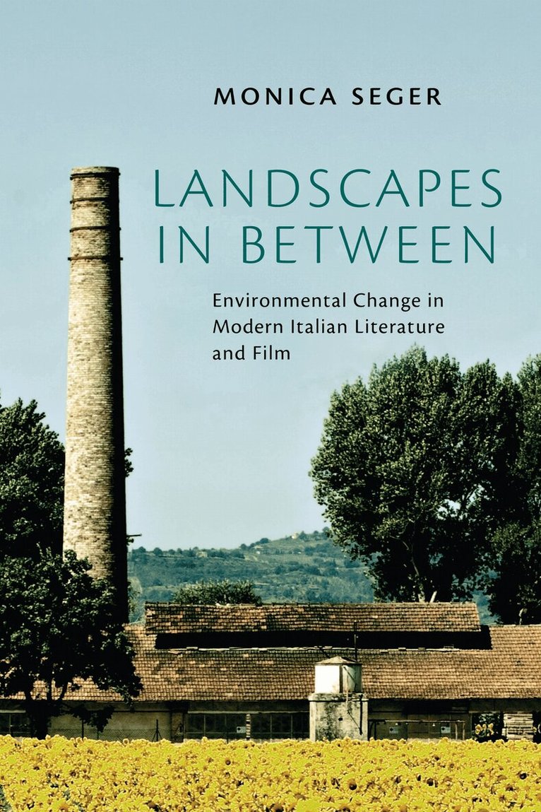 Monica Seger - Landscapes in Between, E-bok