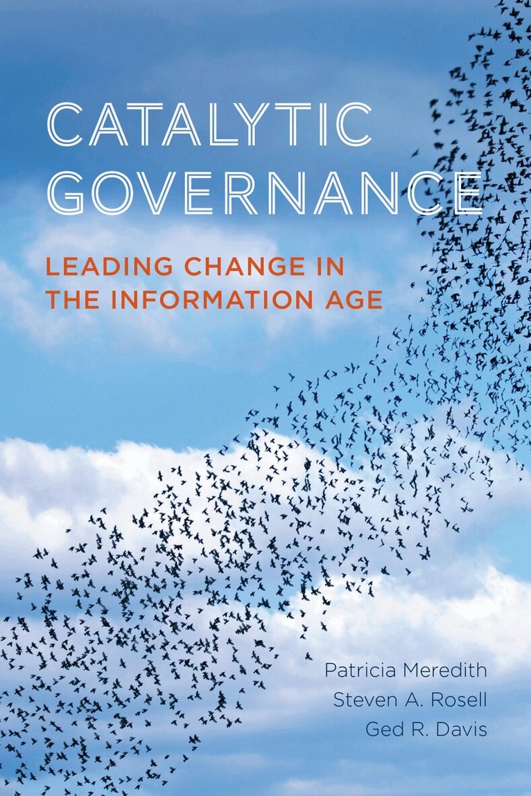 Patricia Meredith, Steven Rosell, Ged R. Davis - Catalytic Governance, E-bok