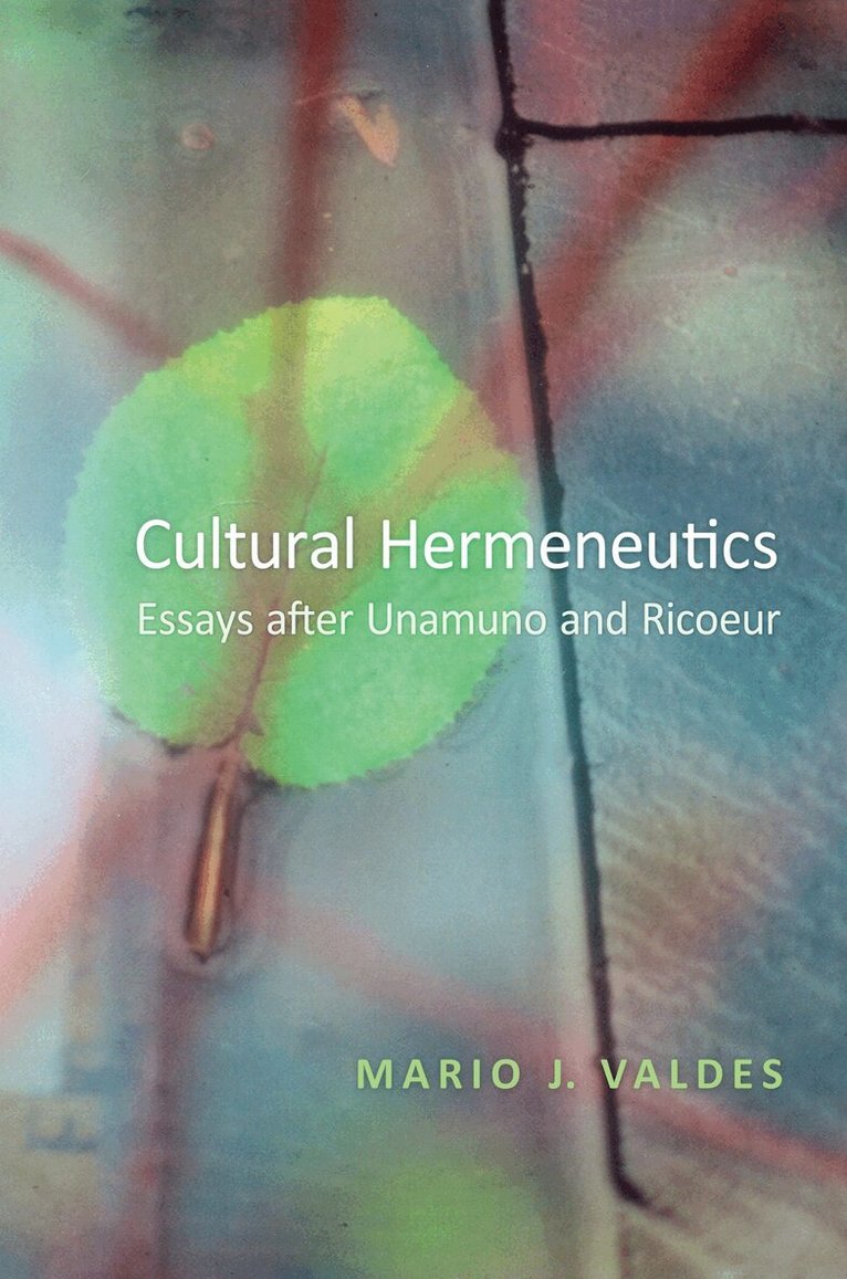 Mario Valdes - Cultural Hermeneutics, E-bok