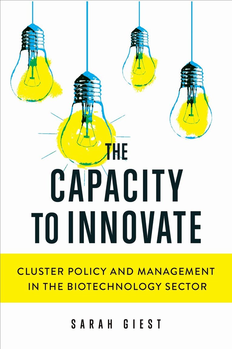 Sarah Giest - Capacity to Innovate, E-bok