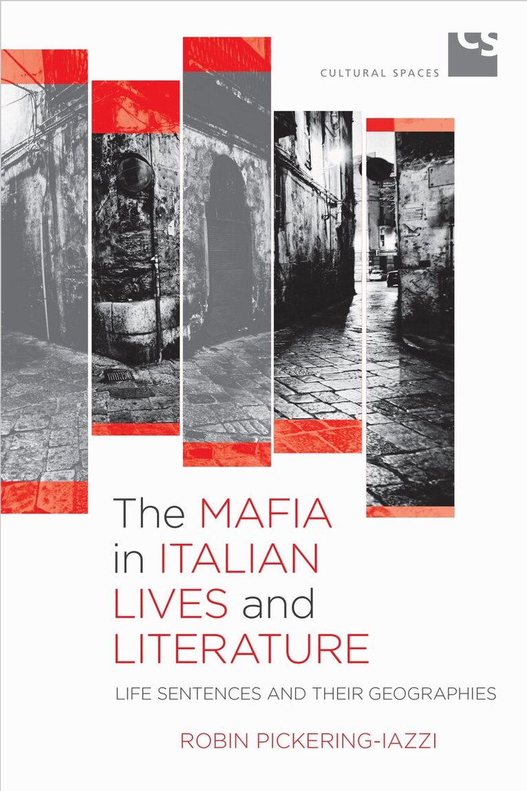 Robin Pickering-Iazzi - Mafia in Italian Lives and Literature, E-bok