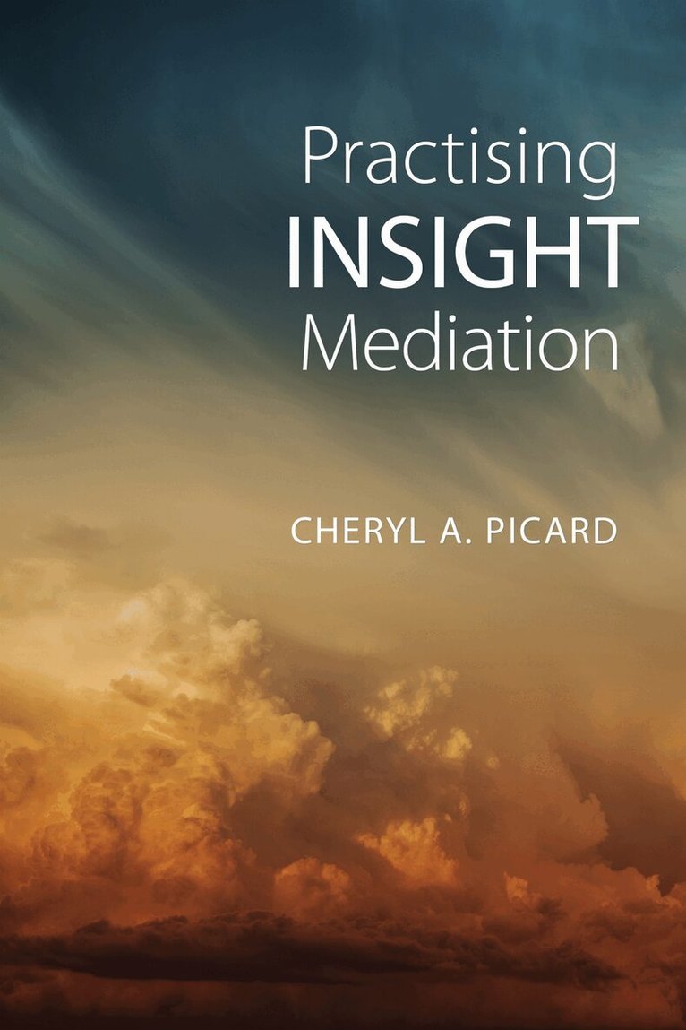 Cheryl A. Picard - Practising Insight Mediation, E-bok
