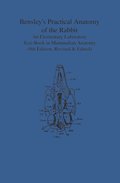 Bensley's Practical Anatomy of the Rabbit