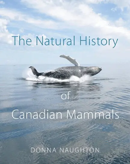 Donna Naughton, Canadian Museum of Nature - Natural History of Canadian Mammals, Inbunden. Tillgänglighet: Tillfälligt slut