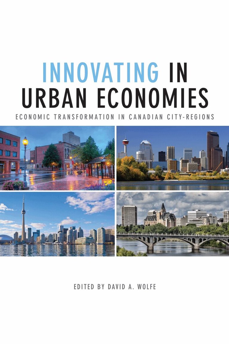 David A. Wolfe - Innovating in Urban Economies, E-bok