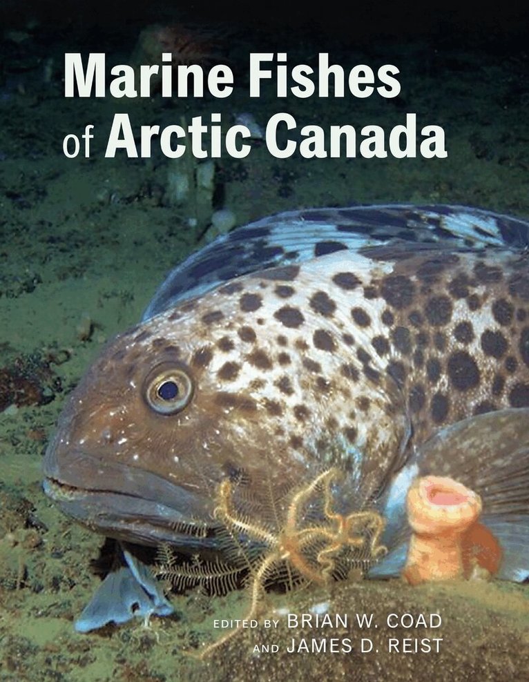 Brian W. Coad, James D. Reist - Marine Fishes of Arctic Canada, E-bok