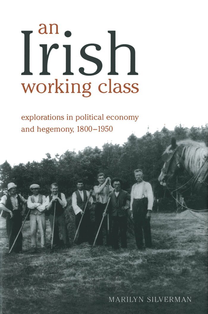 Marilyn Silverman - Irish Working Class, E-bok