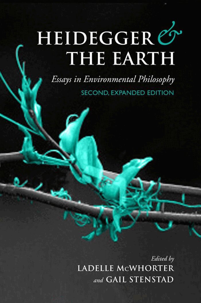 Ladelle McWhorter, Gail Stenstad - Heidegger and the Earth, E-bok