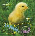 Cycle de Vie: La Poule Et l'Oeuf