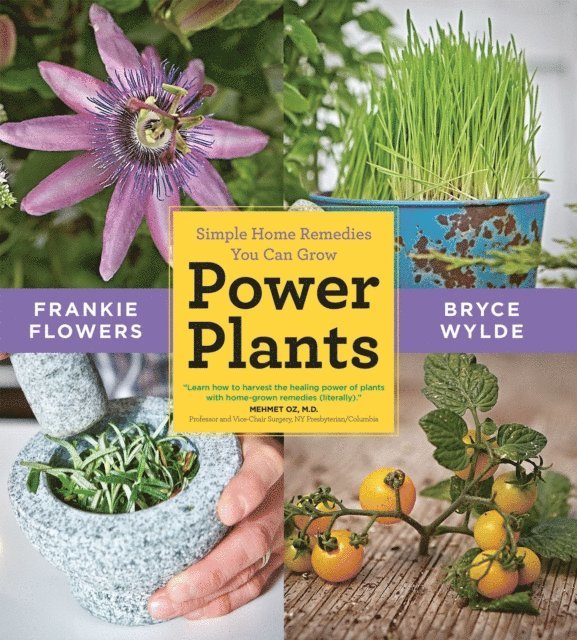 Bryce Wylde, Frankie Flowers - Power Plants, E-bok