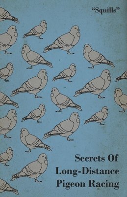 "Squills" - Secrets Of Long-Distance Pigeon Racing, Häftad. Tillgänglighet: Lägg i varukorg