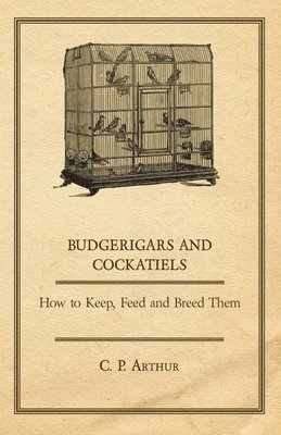 Budgerigars & Cockatiels