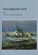 Luke White, Claire Pajaczkowska, Luke White - Sublime Now, Inbunden