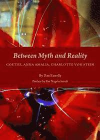 Dan Farrelly - Between Myth and Reality, Häftad