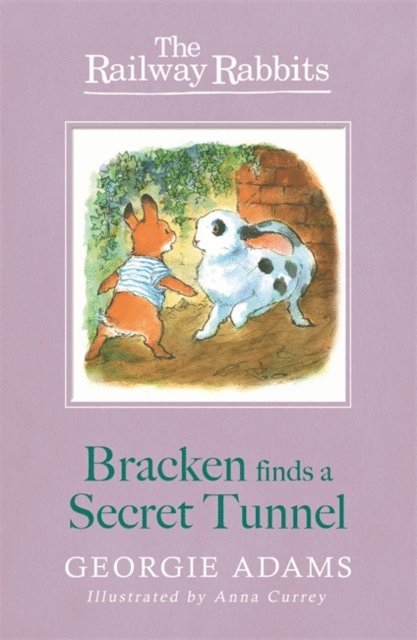 Georgie Adams - Railway Rabbits: Bracken Finds a Secret Tunnel, E-bok