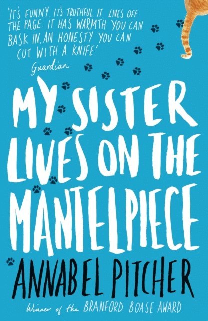 Annabel Pitcher - My Sister Lives on the Mantelpiece, E-bok
