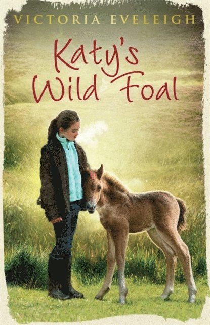 Victoria Eveleigh - Katy's Wild Foal, E-bok