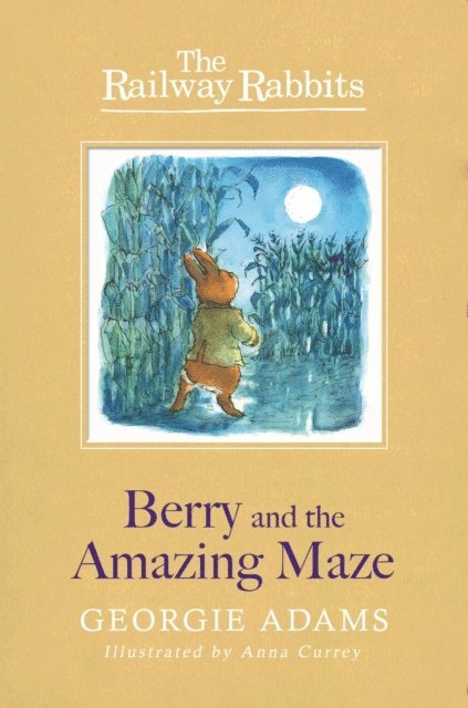 Georgie Adams - Berry and the Amazing Maze, E-bok