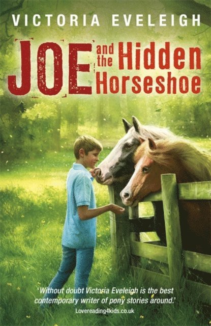 Victoria Eveleigh - Joe and the Hidden Horseshoe, E-bok