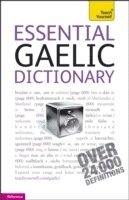 Essential Gaelic Dictionary: Teach Yourself