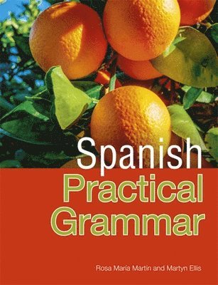 Rosa Maria Martín - Pasos Spanish Practical Grammar, Häftad