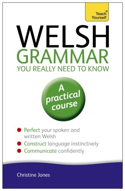 Christine Jones - Welsh Grammar You Really Need to Know: Teach Yourself, E-bok