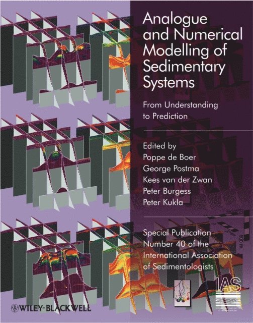 Peter Kukla, Peter Burgess, Kees van der Zwan, George Postma, Poppe de Boer - Analogue and Numerical Modelling of Sedimentary Systems, E-bok