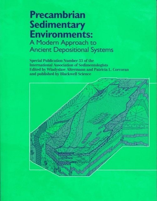 Patricia Corcoran, Wladyslaw Altermann - Precambrian Sedimentary Environments, E-bok