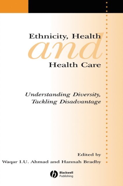 Hannah Bradby, Waqar Ahmad - Ethnicity, Health and Health Care, E-bok